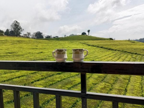 Tea Estate view stay